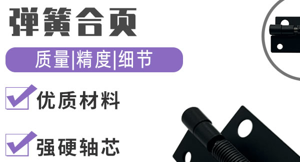彈簧合頁(yè)，引領(lǐng)生活|廣有五金&東莞合頁(yè)?